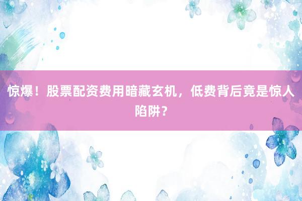 惊爆！股票配资费用暗藏玄机，低费背后竟是惊人陷阱？