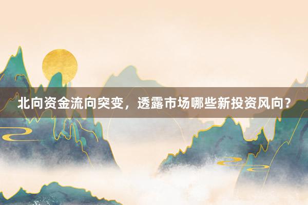 北向资金流向突变，透露市场哪些新投资风向？