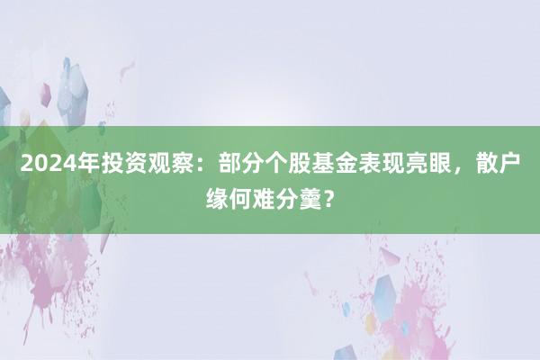 2024年投资观察：部分个股基金表现亮眼，散户缘何难分羹？
