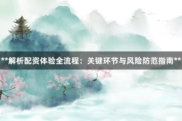 **解析配资体验全流程：关键环节与风险防范指南**