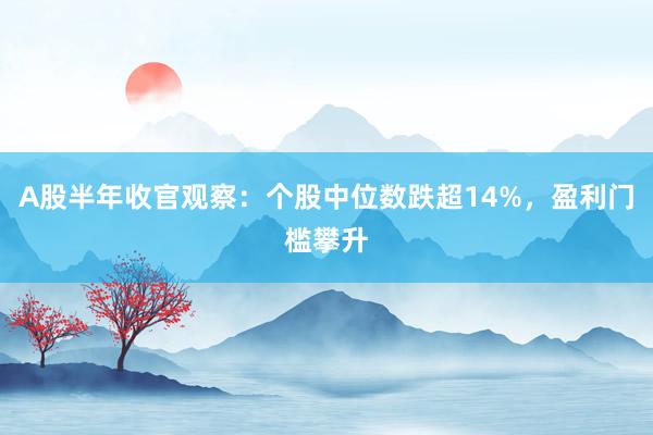 A股半年收官观察：个股中位数跌超14%，盈利门槛攀升