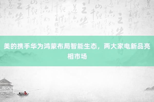 美的携手华为鸿蒙布局智能生态，两大家电新品亮相市场