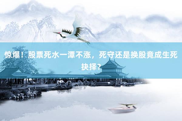 惊爆！股票死水一潭不涨，死守还是换股竟成生死抉择？